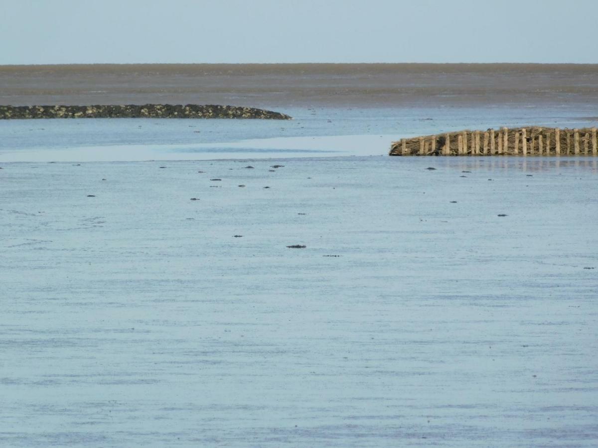 Nordsee Nordstrand Exterior foto